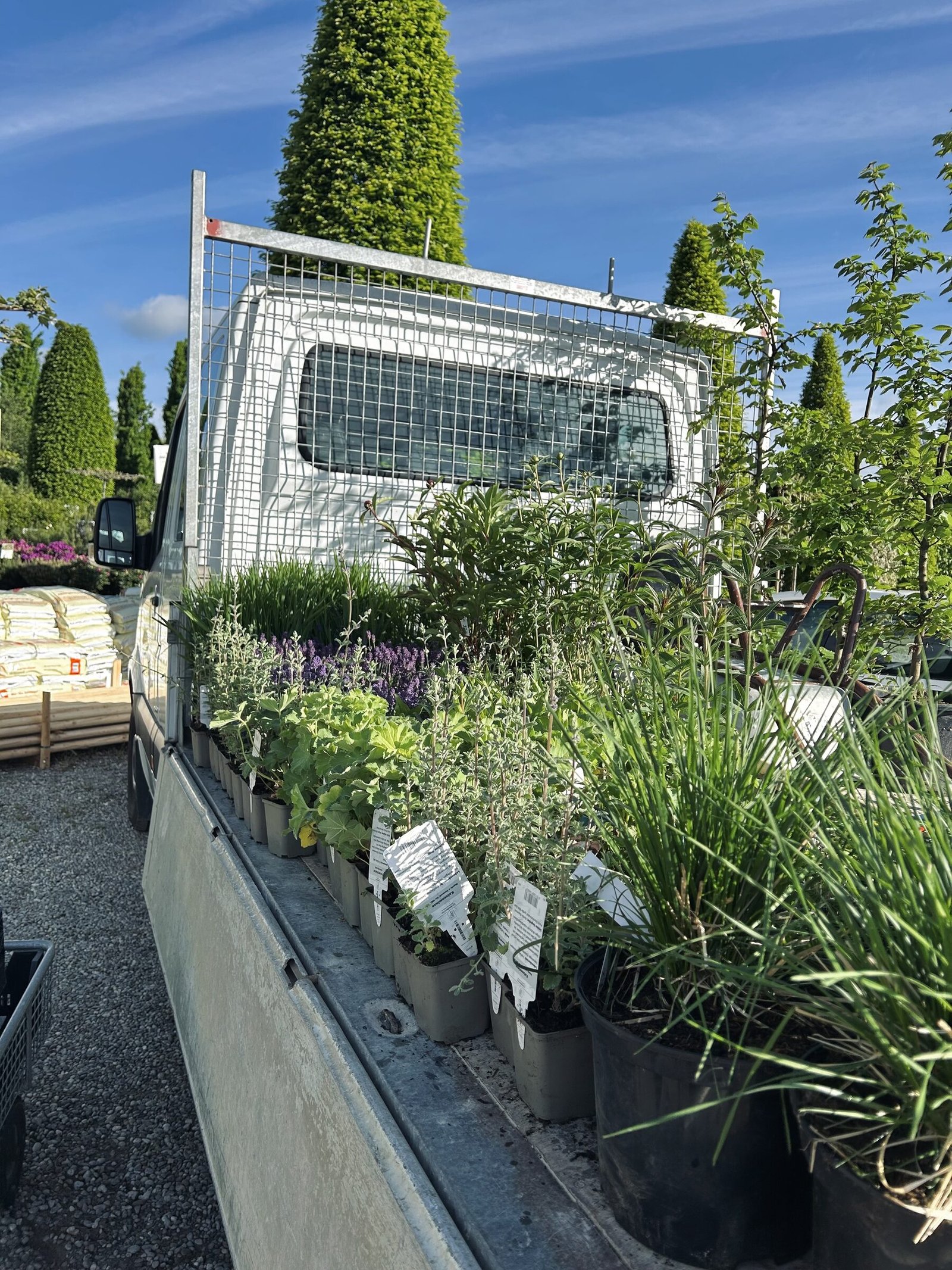 Begleitung auf der Gartenbaustelle während der Umsetzung